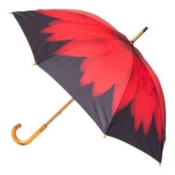 Clifton - Hand Printed Red Daisy Umbrella