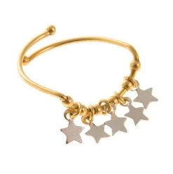 Iosifina - Ariella Oval Gold Plated Ring With A Cluster Of Stars